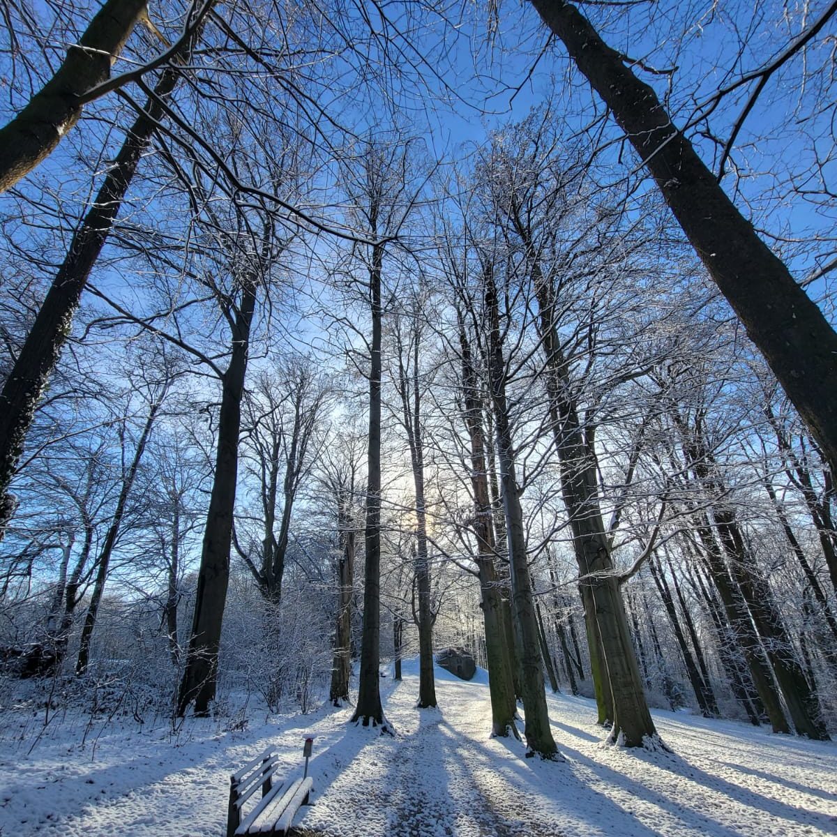 12 02 2023 Winterwanderung SV Meuselwitz Wir In Meuselwitz